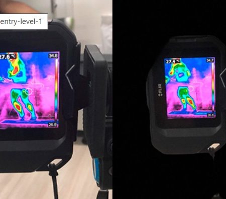 FLIR C5